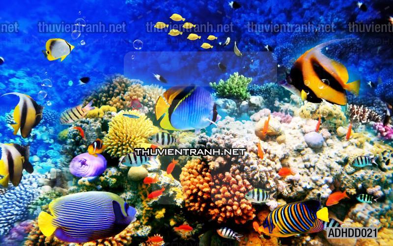 Tranh 3D cảnh dưới đáy Đại Dương xanh, tranh dán tường trang trí sinh vật Biển - Tranh tường chất lượng cao