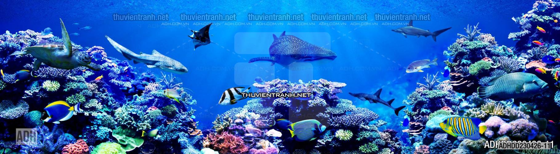 Tranh 3D cảnh dưới đáy Đại Dương xanh, tranh dán tường trang trí sinh vật Biển - Tranh tường chất lượng cao