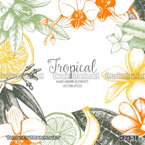 Tranh dán tường Cafe, tranh dán tường quán cafe - Tranh tường chất lượng cao