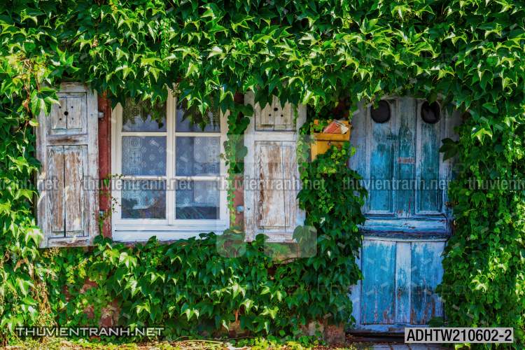 Tranh dán tường phố xưa, quán cà phê Vintage, bức tường hoa lá xinh - Tranh tường chất lượng cao