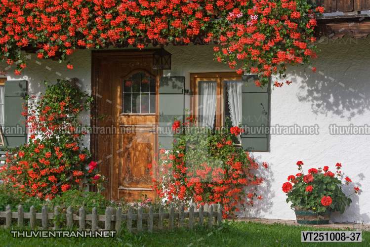 Tranh dán tường phố xưa, quán cà phê Vintage, bức tường hoa lá xinh - Tranh tường chất lượng cao