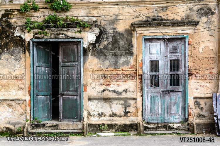  Tranh dán tường phố xưa, quán cà phê Vintage, bức tường hoa lá xinh - Tranh tường chất lượng cao