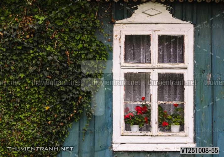  Tranh dán tường phố xưa, quán cà phê Vintage, bức tường hoa lá xinh - Tranh tường chất lượng cao