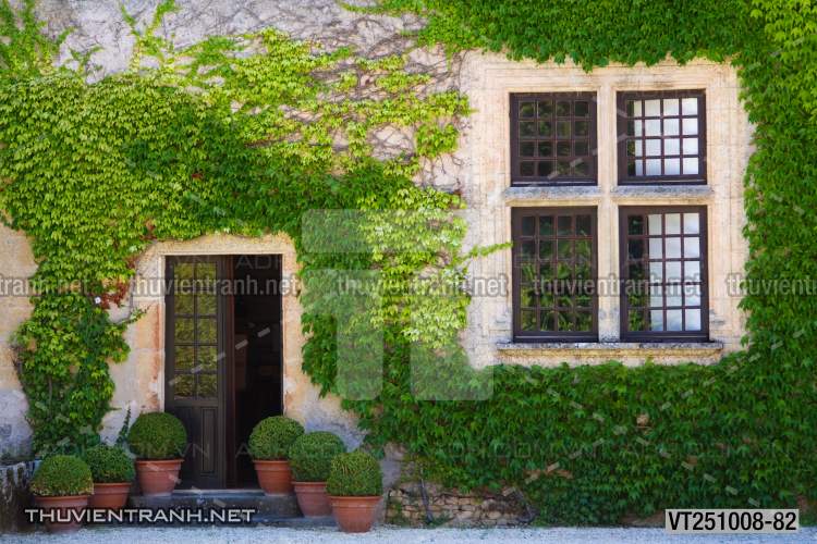  Tranh dán tường phố xưa, quán cà phê Vintage, bức tường hoa lá xinh - Tranh tường chất lượng cao