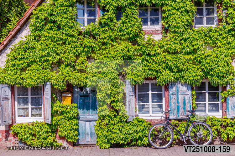 Tranh dán tường phố xưa, quán cà phê Vintage, bức tường hoa lá xinh - Tranh tường chất lượng cao