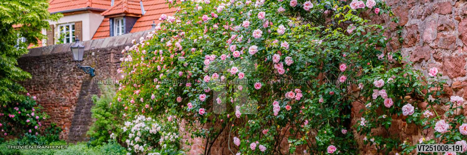 Tranh dán tường phố xưa, quán cà phê Vintage, bức tường hoa lá xinh - Tranh tường chất lượng cao