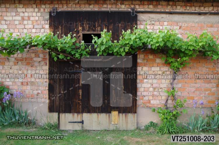  Tranh dán tường phố xưa, quán cà phê Vintage, bức tường hoa lá xinh - Tranh tường chất lượng cao