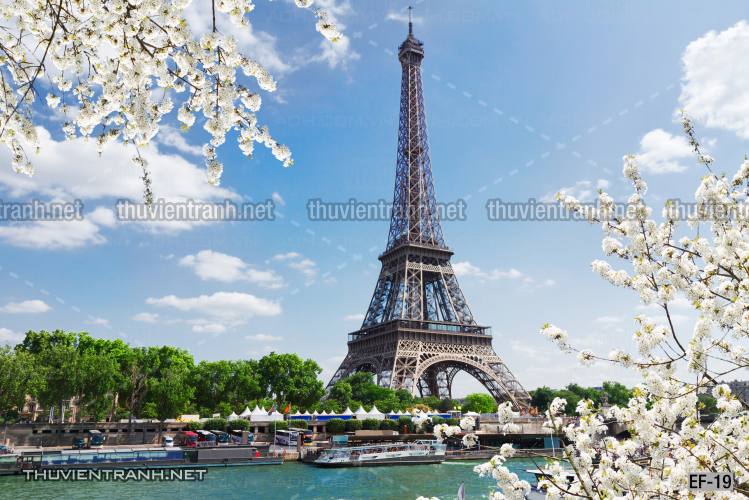 Tranh dán tường  Tháp Eiffel đẹp - Tranh tường chất lượng cao
