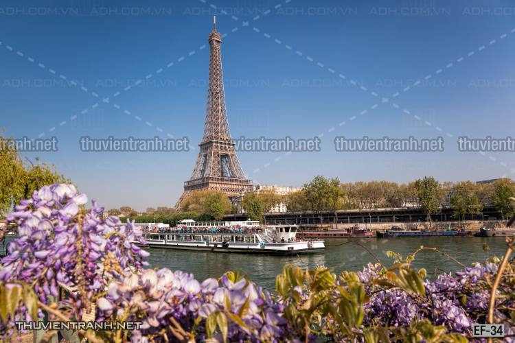 Tranh dán tường  Tháp Eiffel đẹp - Tranh tường chất lượng cao