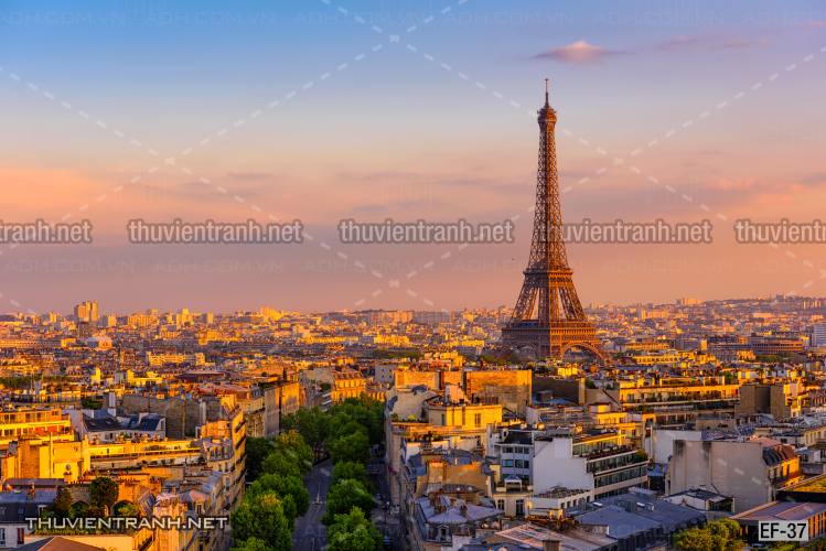 Tranh dán tường  Tháp Eiffel đẹp - Tranh tường chất lượng cao
