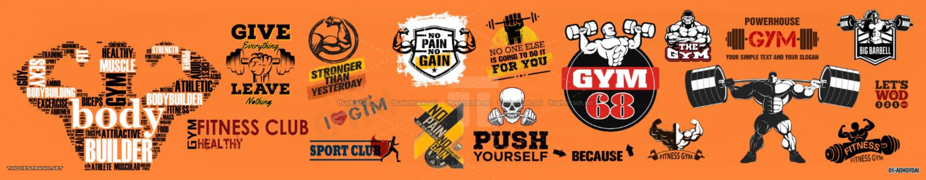  Tranh dán tường Phòng tập Gym, Thể Hình - Tranh tường chất lượng cao