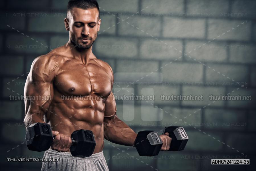  Tranh dán tường Phòng tập Gym, Thể Hình - Tranh tường chất lượng cao