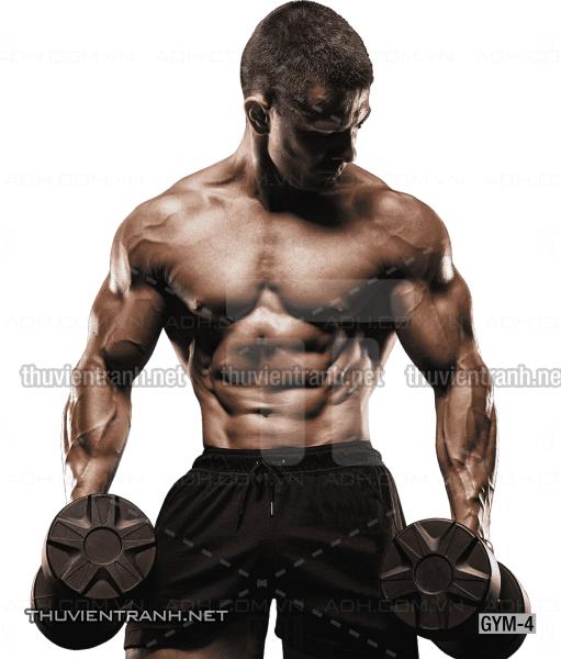 Tranh dán tường Phòng tập Gym, Thể Hình - Kết quả tìm kiếm tranh tường