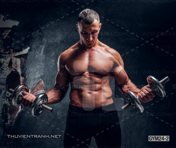 Tranh dán tường Phòng Gym - Kết quả tìm kiếm tranh tường
