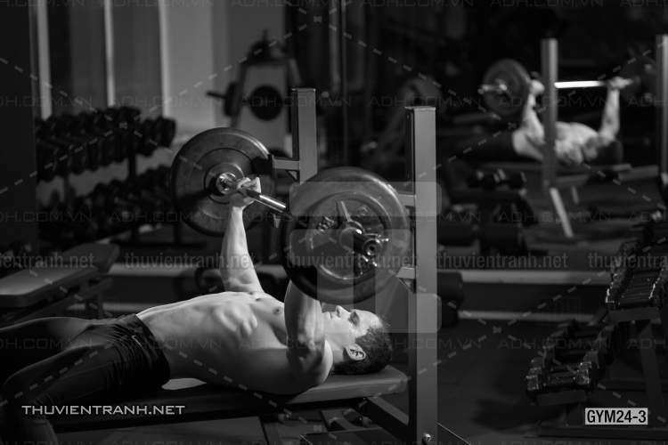 Tranh dán tường Phòng Gym - Kết quả tìm kiếm tranh tường