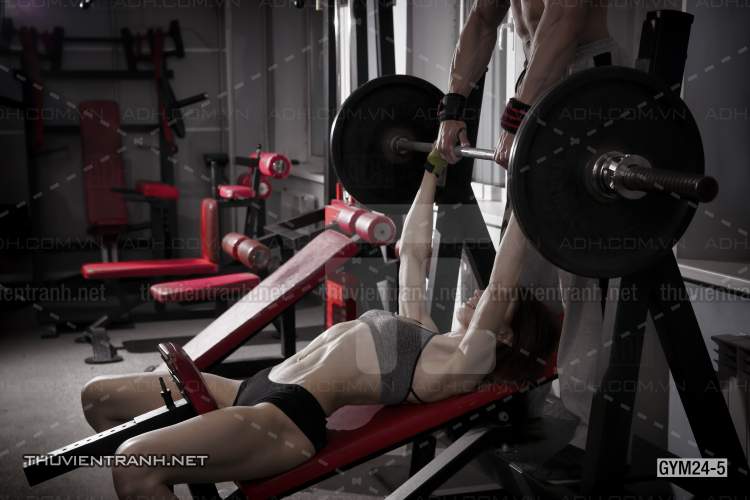 Tranh dán tường Phòng Gym - Kết quả tìm kiếm tranh tường