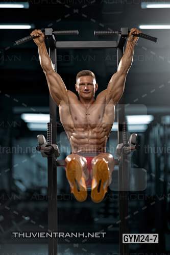 Tranh dán tường Phòng Gym - Kết quả tìm kiếm tranh tường