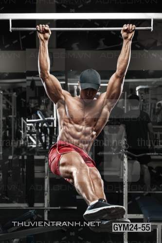  Tranh dán tường Phòng Gym - Tranh tường chất lượng cao