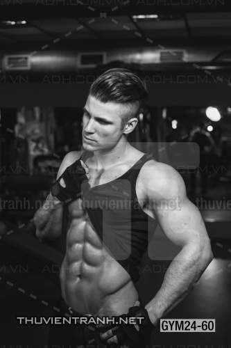  Tranh dán tường Phòng Gym - Kết quả tìm kiếm tranh tường