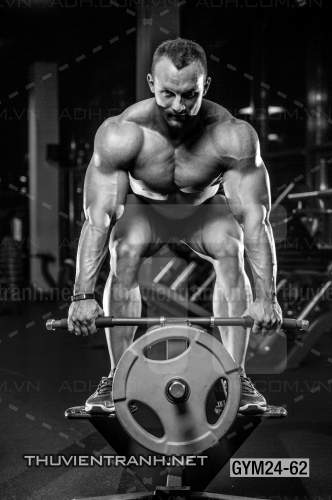  Tranh dán tường Phòng Gym - Kết quả tìm kiếm tranh tường