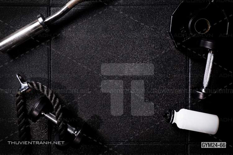  Tranh dán tường Phòng Gym - Kết quả tìm kiếm tranh tường