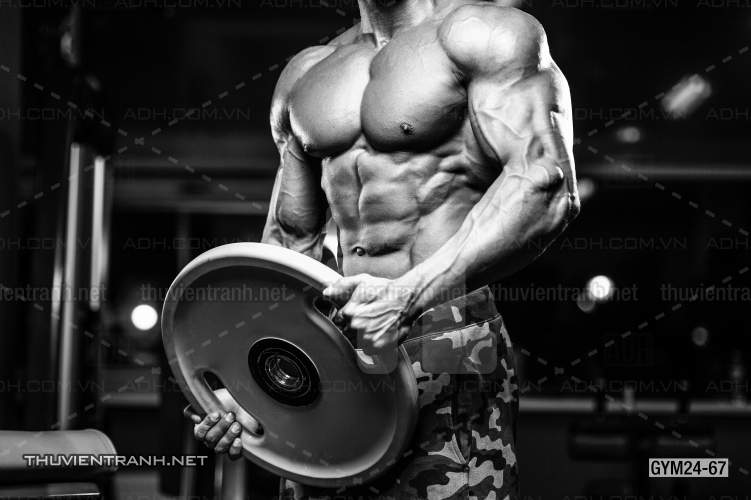 Tranh dán tường Phòng Gym - Kết quả tìm kiếm tranh tường