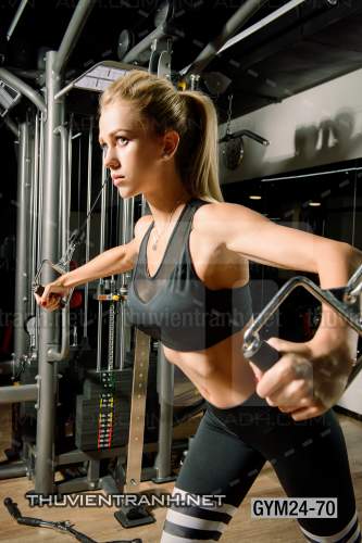  Tranh dán tường Phòng Gym - Kết quả tìm kiếm tranh tường