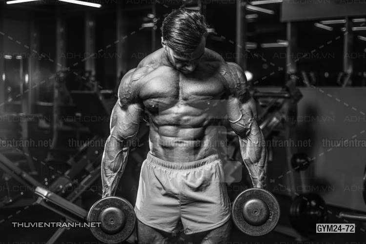  Tranh dán tường Phòng Gym - Kết quả tìm kiếm tranh tường