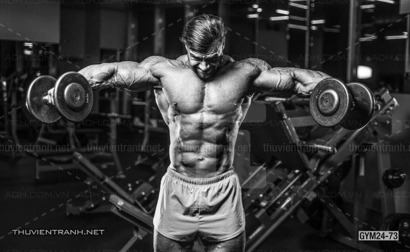 Tranh dán tường Phòng Gym - Kết quả tìm kiếm tranh tường