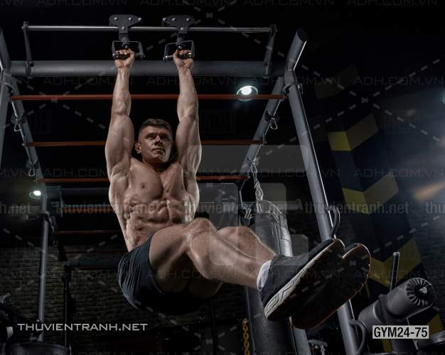 Tranh dán tường Phòng Gym - Kết quả tìm kiếm tranh tường