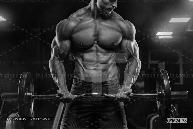 Tranh dán tường Phòng Gym - Kết quả tìm kiếm tranh tường