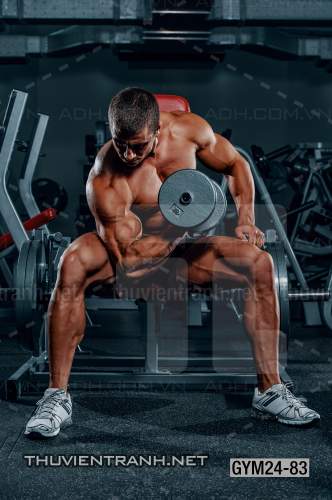 Tranh dán tường Phòng Gym - Kết quả tìm kiếm tranh tường