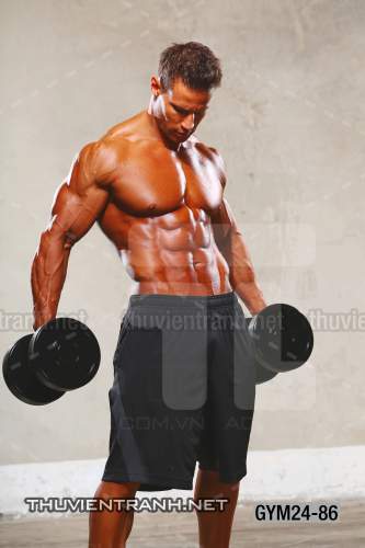 Tranh dán tường Phòng Gym - Kết quả tìm kiếm tranh tường