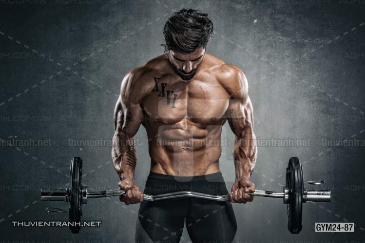 Tranh dán tường Phòng Gym - Kết quả tìm kiếm tranh tường