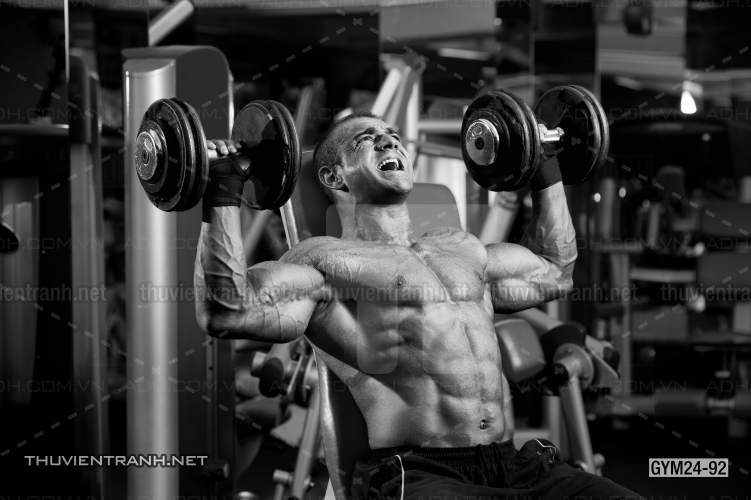 Tranh dán tường Phòng Gym - Kết quả tìm kiếm tranh tường