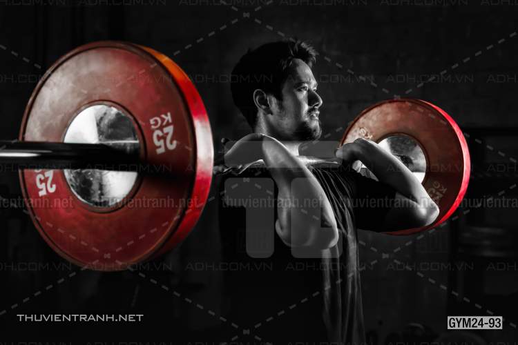 Tranh dán tường Phòng Gym - Kết quả tìm kiếm tranh tường