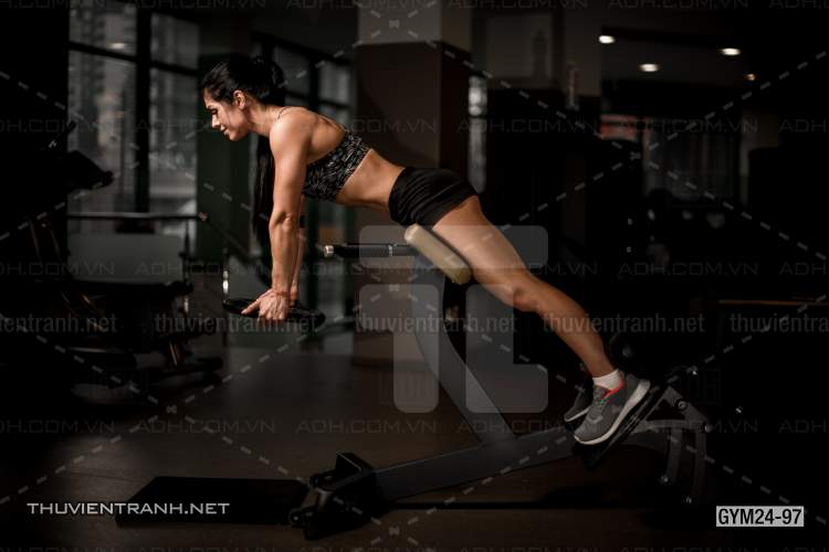 Tranh dán tường Phòng Gym - Kết quả tìm kiếm tranh tường