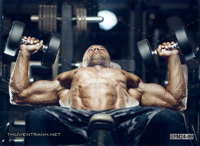 Tranh dán tường Phòng Gym - Kết quả tìm kiếm tranh tường
