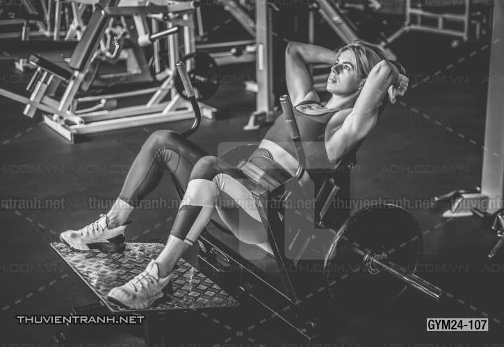 Tranh dán tường Phòng Gym - Kết quả tìm kiếm tranh tường