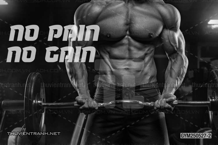 Tranh dán tường Phòng Gym - Kết quả tìm kiếm tranh tường