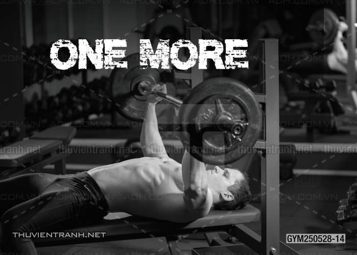 Tranh dán tường Phòng Gym - Kết quả tìm kiếm tranh tường