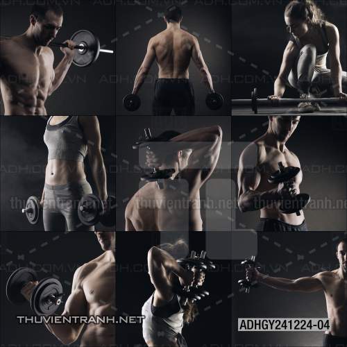  Tranh dán tường Phòng tập Gym - Kết quả tìm kiếm tranh tường