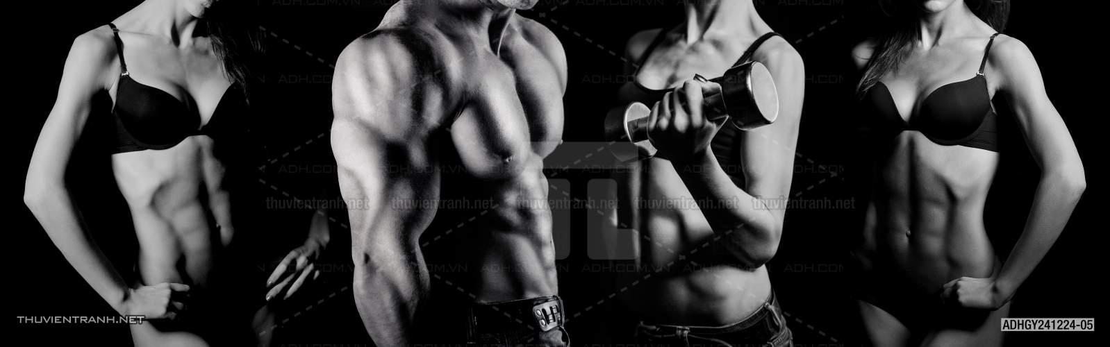  Tranh dán tường Phòng tập Gym - Kết quả tìm kiếm tranh tường
