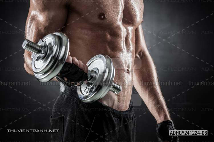  Tranh dán tường Phòng tập Gym - Kết quả tìm kiếm tranh tường