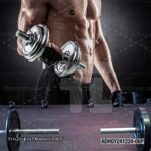  Tranh dán tường Phòng tập Gym - Kết quả tìm kiếm tranh tường