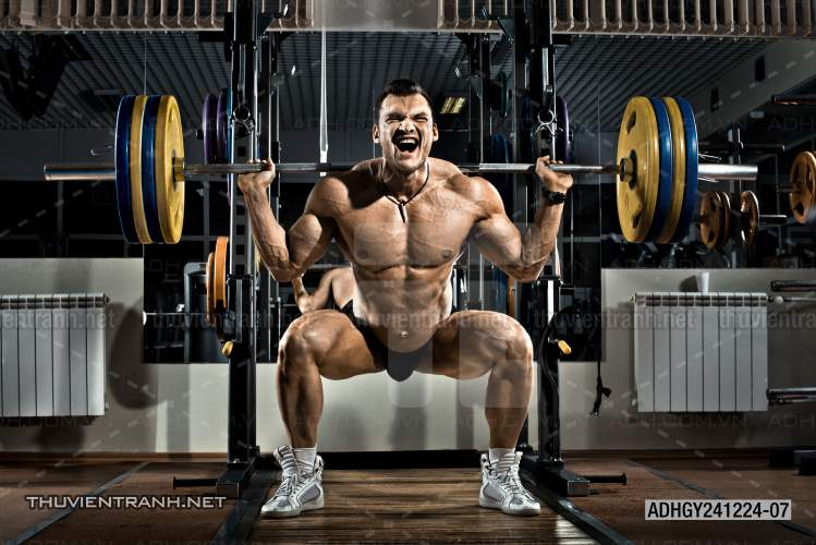  Tranh dán tường Phòng tập Gym - Kết quả tìm kiếm tranh tường