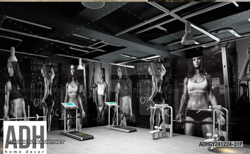 Tranh dán tường Phòng tập Gym - Tranh tường chất lượng cao
