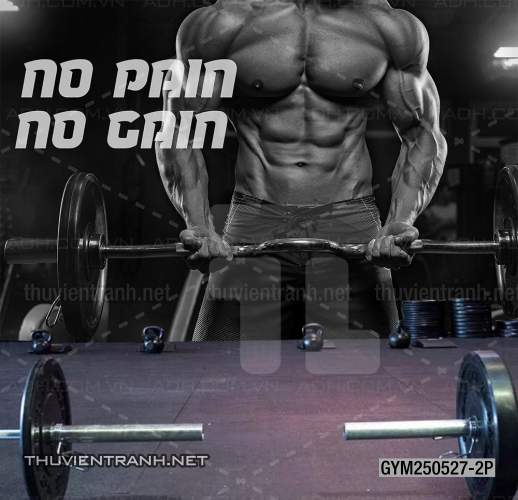 Tranh dán tường Phòng tập Gym - Kết quả tìm kiếm tranh tường