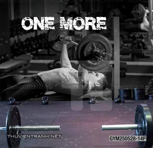 Tranh dán tường Phòng tập Gym - Kết quả tìm kiếm tranh tường