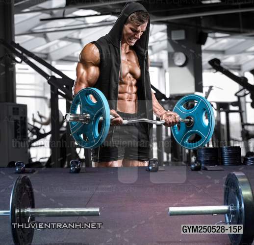Tranh dán tường Phòng tập Gym - Tranh tường chất lượng cao